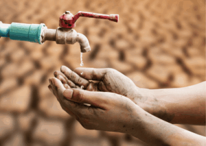 climate revolution